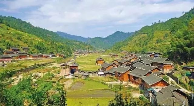 田園農(nóng)業(yè)游以大田農(nóng)業(yè)為重點